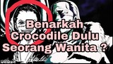 Apa Benar Dahulu Sir Crocodile Adalah Seorang Wanita ?