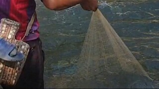 himalayan trout fishing in Nepal | cast net fishing in Nepal | asala fishing |