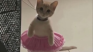 🐱 "The left brain starts attacking the right brain!" 🐱