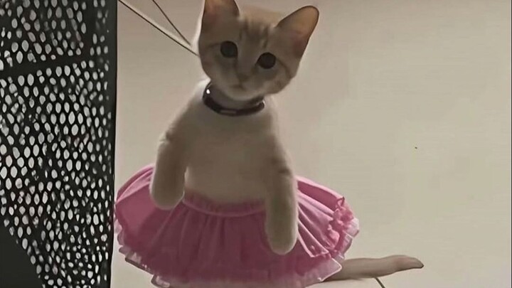 🐱 “ 左脑开始攻击右脑！” 🐱