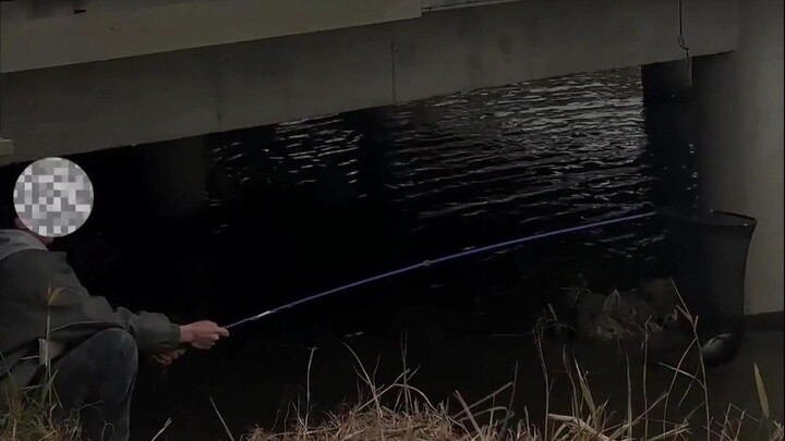 สารคดีบุคคลออนไลน์ ตอนที่ 127: หนูหนูลูอา