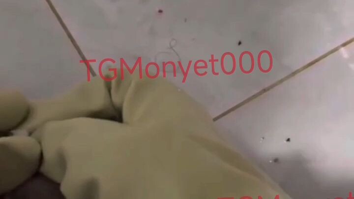 monkey 猴子