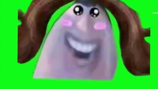 Hello everyone, I am vegetarian Dolly