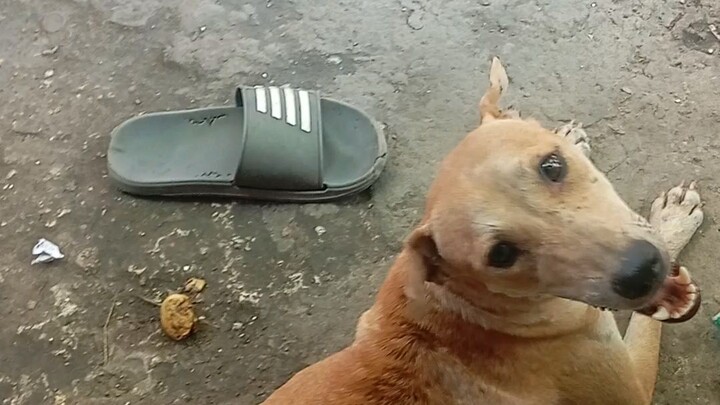 .