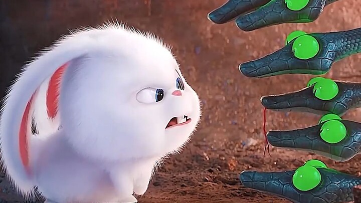 Boss Rabbit doesn't need to remember any secret codes.