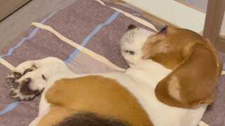 Kita sedang perang dingin