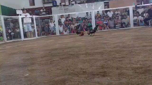 1st fight