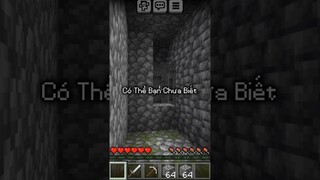 Có Thể Bạn Chưa Biết Phần 12 #minecraft #shorts