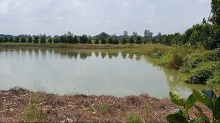 64 Tuổi Đi Đặt Bẫy Chuột Kiếm Sống Hơn 10 Năm Kinh Nghiệm Không Con Nào Chạy Thoát