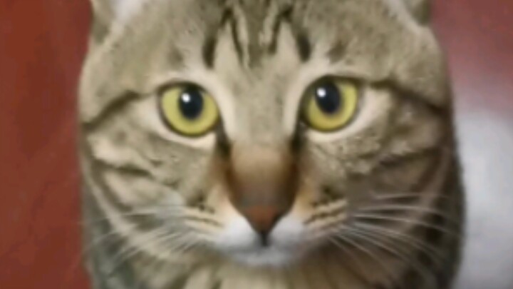 Bỗng nhiên hiểu vì sao người lớn cứ thích bắt trẻ con gọi vài tiếng để nghe, vì dễ thương quá mà! Kh