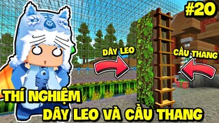 SINH TỒN THẾ GIỚI CŨ TẬP 20: MEOWPEO SO SÁNH CẦU THANG VÀ DÂY LEO TRONG MINI WORLD CÁI NÀO MẠNH HƠN