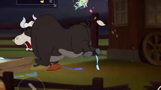 Tom and Jerry: Youran dikorbankan ke surga lagi! Di mana kuncinya disembunyikan? Endingnya lucu!