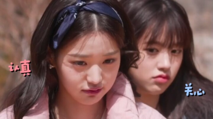 【يو يوان】هذه الحلقة هي برنامج التعارف الحقيقي بجد! لغة الكلاب ولغة الأرانب.. حب على حساب الشركة!