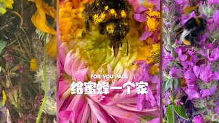 Hãy cho chú ong bị thương một ngôi nhà 🐝