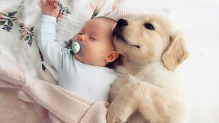 ทารกและลูกสุนัขจำเป็นต้องเติบโตไปด้วยกัน - รวบรวมเด็กและลูกสุนัขแสนน่ารัก