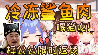 A Zi wants to feed the cat frozen shark meat, ha people; A Zi grandpa returns for a limited time, it