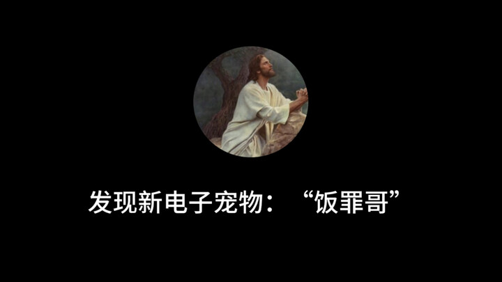 Another new digital pet discovered: “Brother Fan Zui”