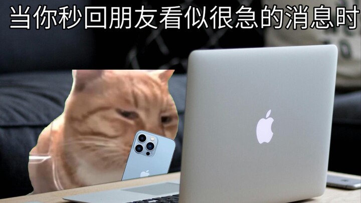 当你秒回朋友看似很急的消息时