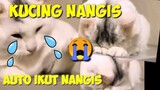 REACTION KUCING NANGIS 😭 JADI AUTO IKUT NANGIS 😫😭 PECINTA KUCING PASTI TERHARU LIAT VIDEO INI