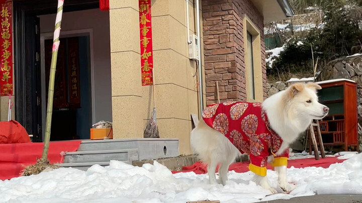 Happy New Year! Days back in the village for the holidays are a bit dull—doesn’t it feel like being 