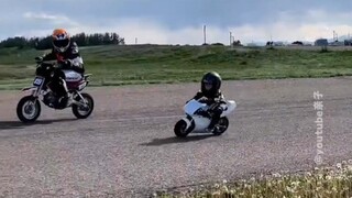 飞驰人生 | 幼崽版