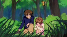 Sakura THỦ LĨNH THẺ BÀI tập 25