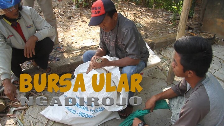 Pak Lam Pedagang Ular Ngadirojo