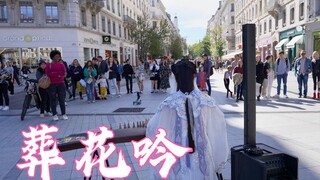 【古筝｜葬花吟】法国街头，遇见红楼梦？