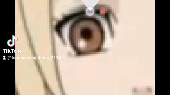 Philippines 🇵🇭🇵🇭 My Tiktok Username: tsunadesenjuhime_2114