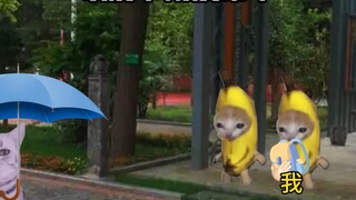 Tôi thường tè ra quần khi trời mưa