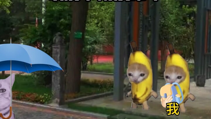 كنت أتبول على بنطالي عندما تمطر