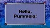 Pokémon: Adventures in the Orange Islands Ep31 (Hello, Pummelo!)[Full Episode]