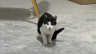 Potongan kehidupan seorang petugas keamanan