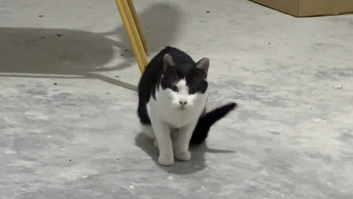 شذرات من حياة حارس الأمن