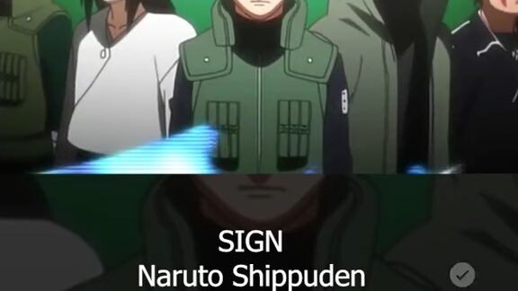 Opening Naruto SIGN