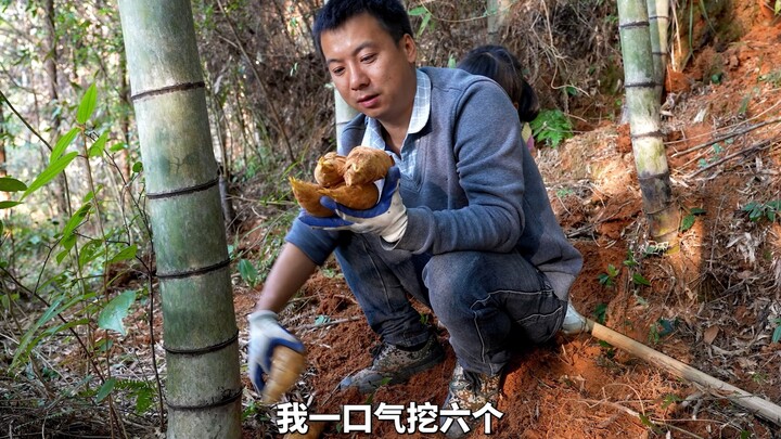 Hua Nong Brothers: Pick some shiitake mushrooms, then take the pig to hunt for bamboo shoots—looks l