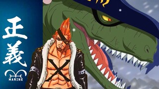 One Piece Characters #77: Why is your son's chin so exaggerated? About Drake's undercover work in th