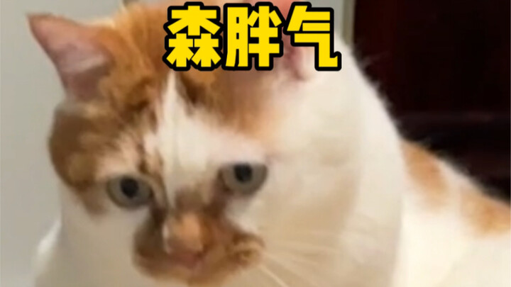 ดูแค่ว่าฉันจะฟาดกลางดึกหรือเปล่าก็จบแล้ว