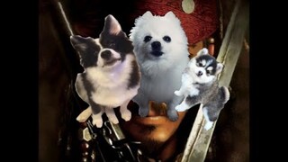 What if Gabe & Dogs Sang Pirates of the Caribbean Theme Song?