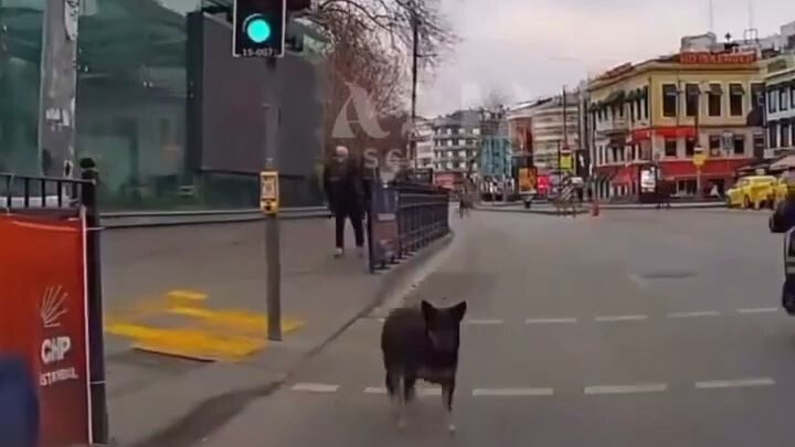 ฉันขัดขวาง