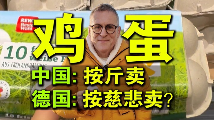Jerman memboikot telur ukuran besar? Warga Jerman menceritakan pengalamannya langsung!