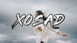 ELEVEN - XOSAD feat. JOM of ALLMO$T