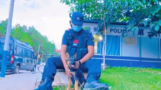 [Hewan]Semangatlah! German Shepherd Kecil, Jadi Pegawai Negeri!