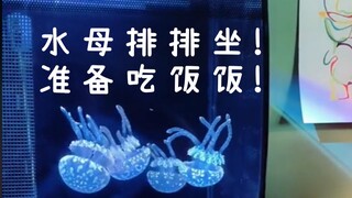 How do jellyfish eat? The young man demonstrates the process of preparing and feeding pet jellyfish.