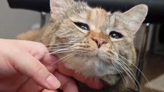 If you touch my chin, I'll be really happy.