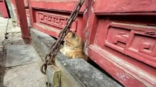 Cuộc sống giống như một bộ phim, luôn có người phải đóng vai kẻ trộm~