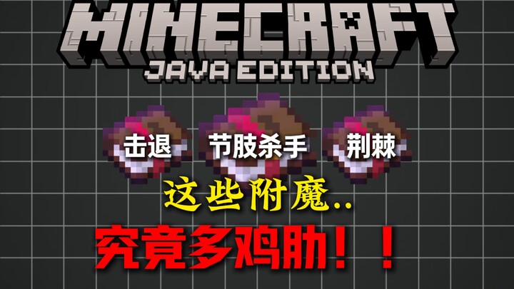 Just how useless are the enchantment properties of certain Minecraft items?!