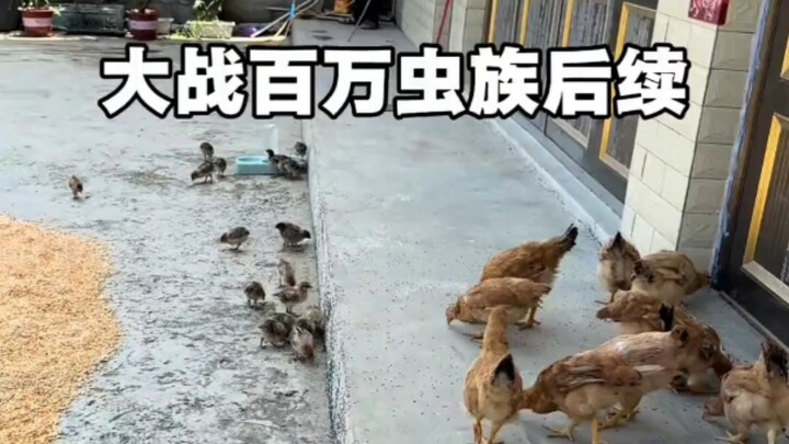 The foundation-building disciples still have a long way to go—only by summoning the sect’s elders we