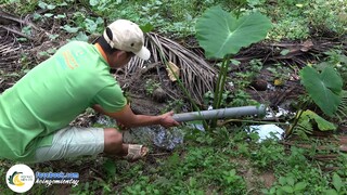Đặt Ống Trúm Lươn Mùa Nước Nổi Kết Quả Không Ngờ | Hội Ngộ Miền Tây - Tập 237