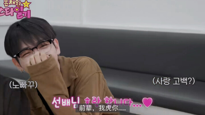 หมาตัวเล็กหมิง: มอบความประทับใจเล็กๆ แบบคนชอบเข้าสังคมให้กับรุ่นพี่โฮชิ